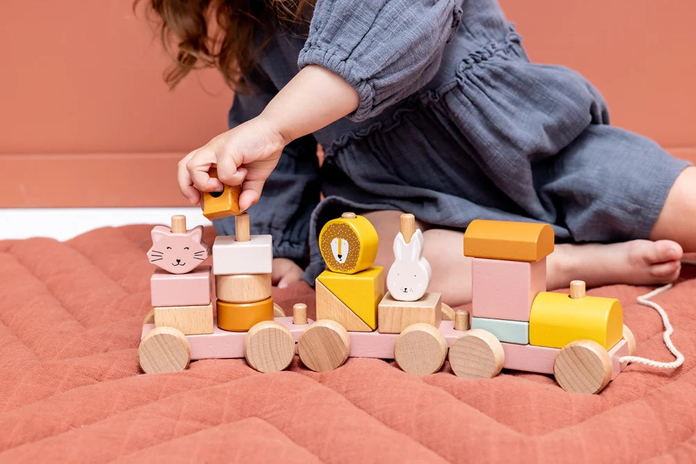 Wooden Animal Train Mrs Cat Pull Along