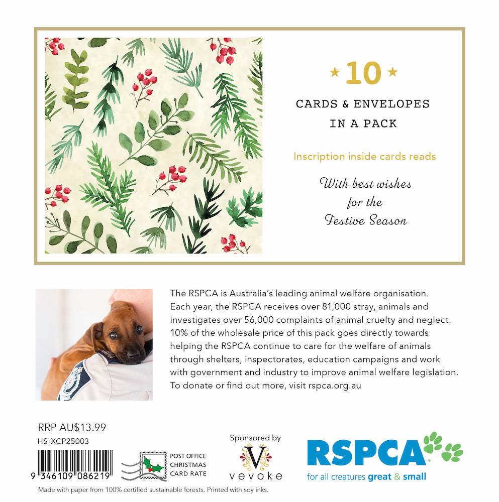 Festive Pattern 10 Boxed Charity Christmas Cards - Rspca