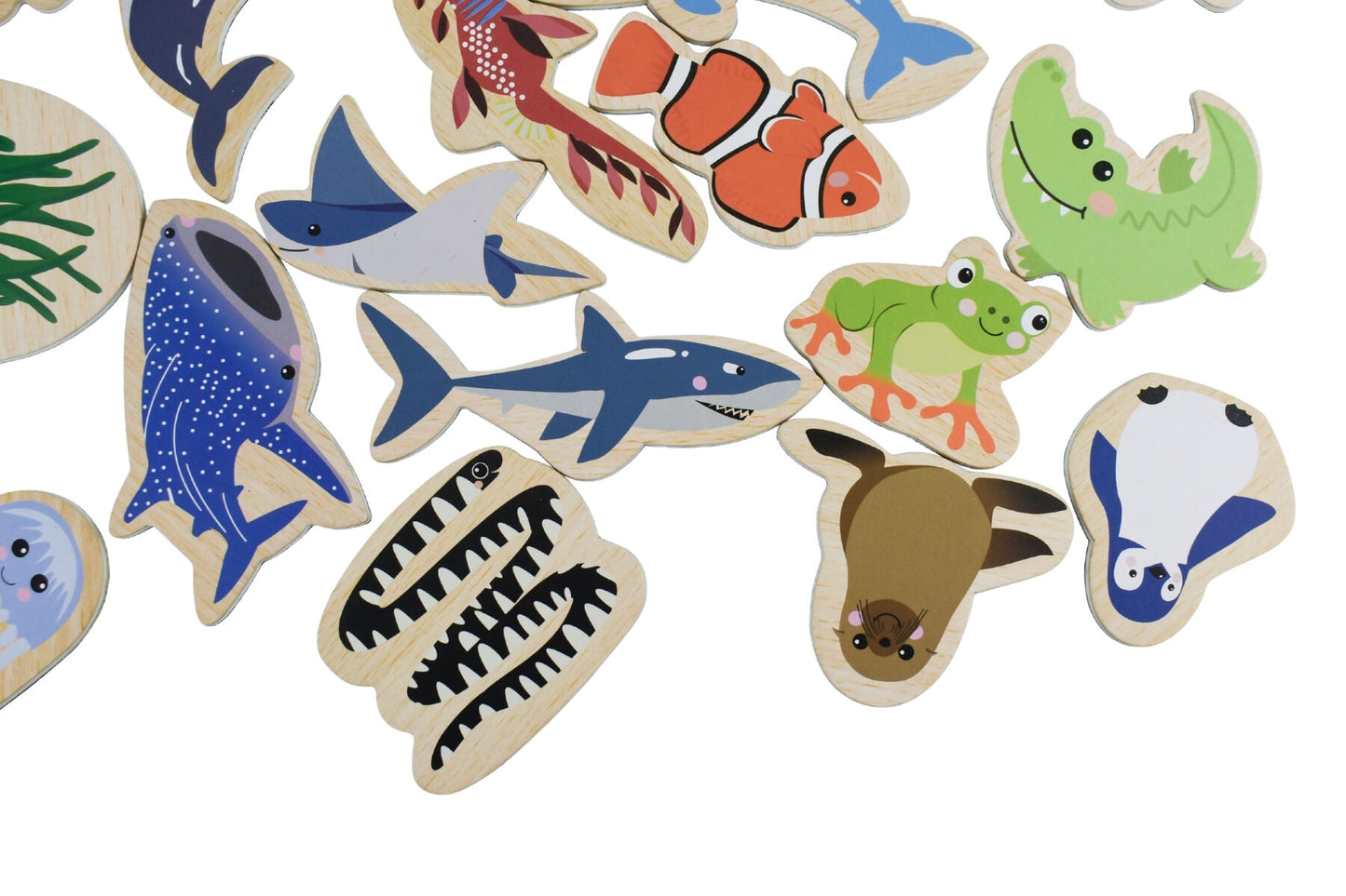 Australian Sea Animals Fridge Friends