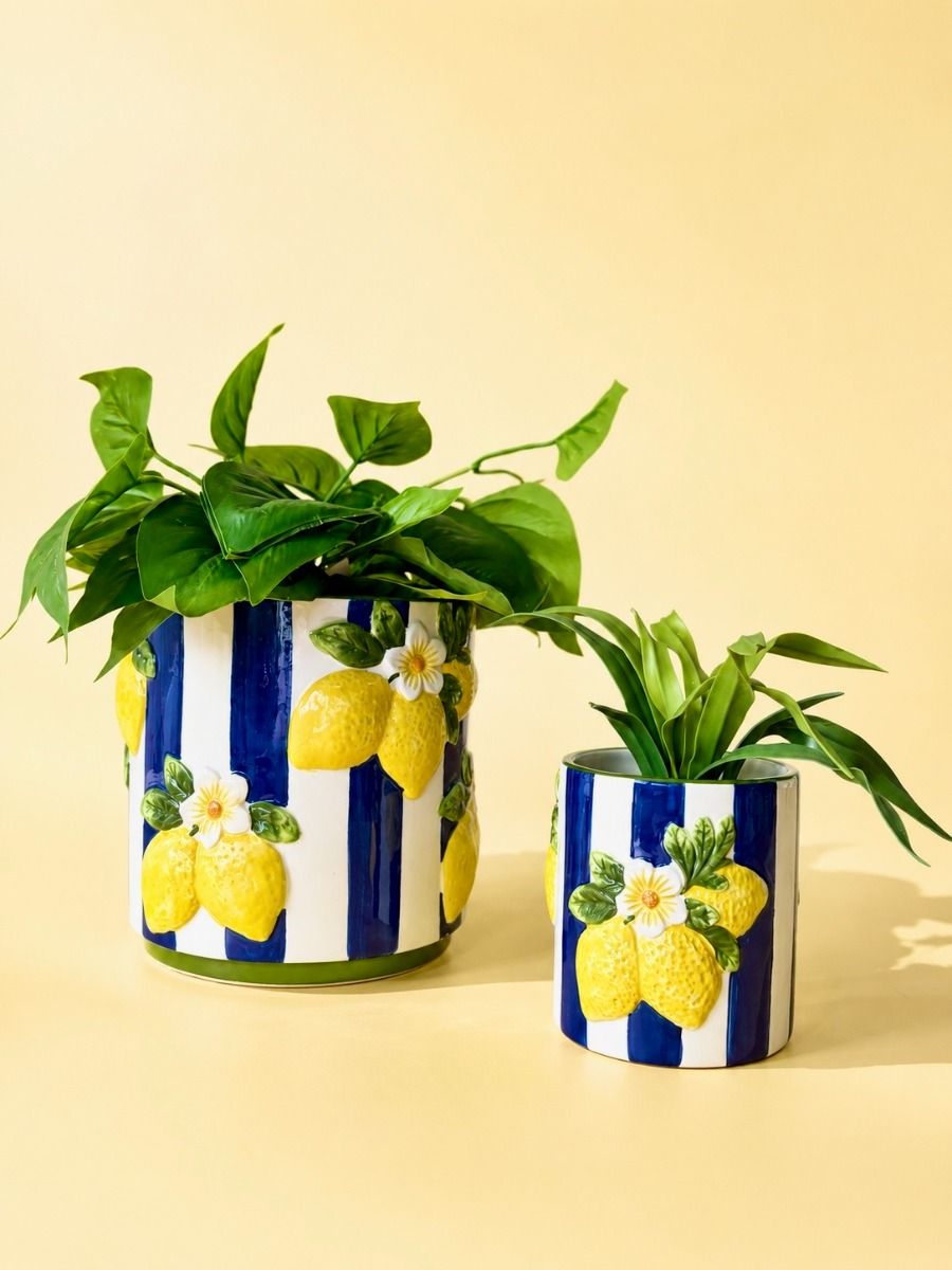 Lemoncello Planter Blue - 10cm