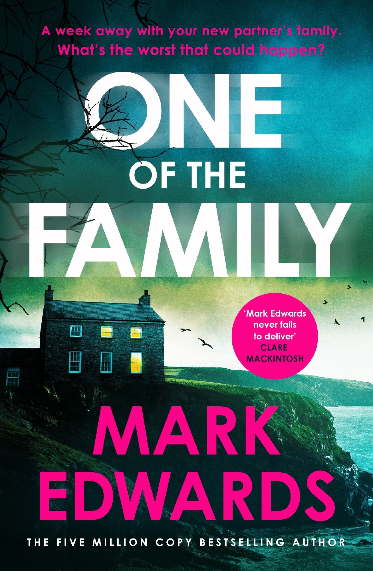 One Of The Family - Mark Edwards