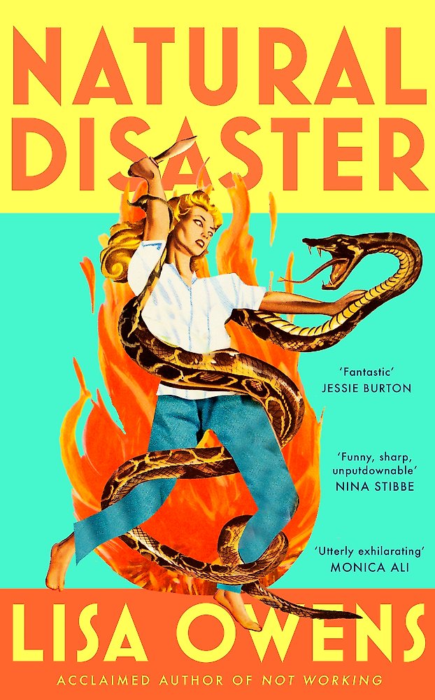 Natural Disaster - Lisa Owens