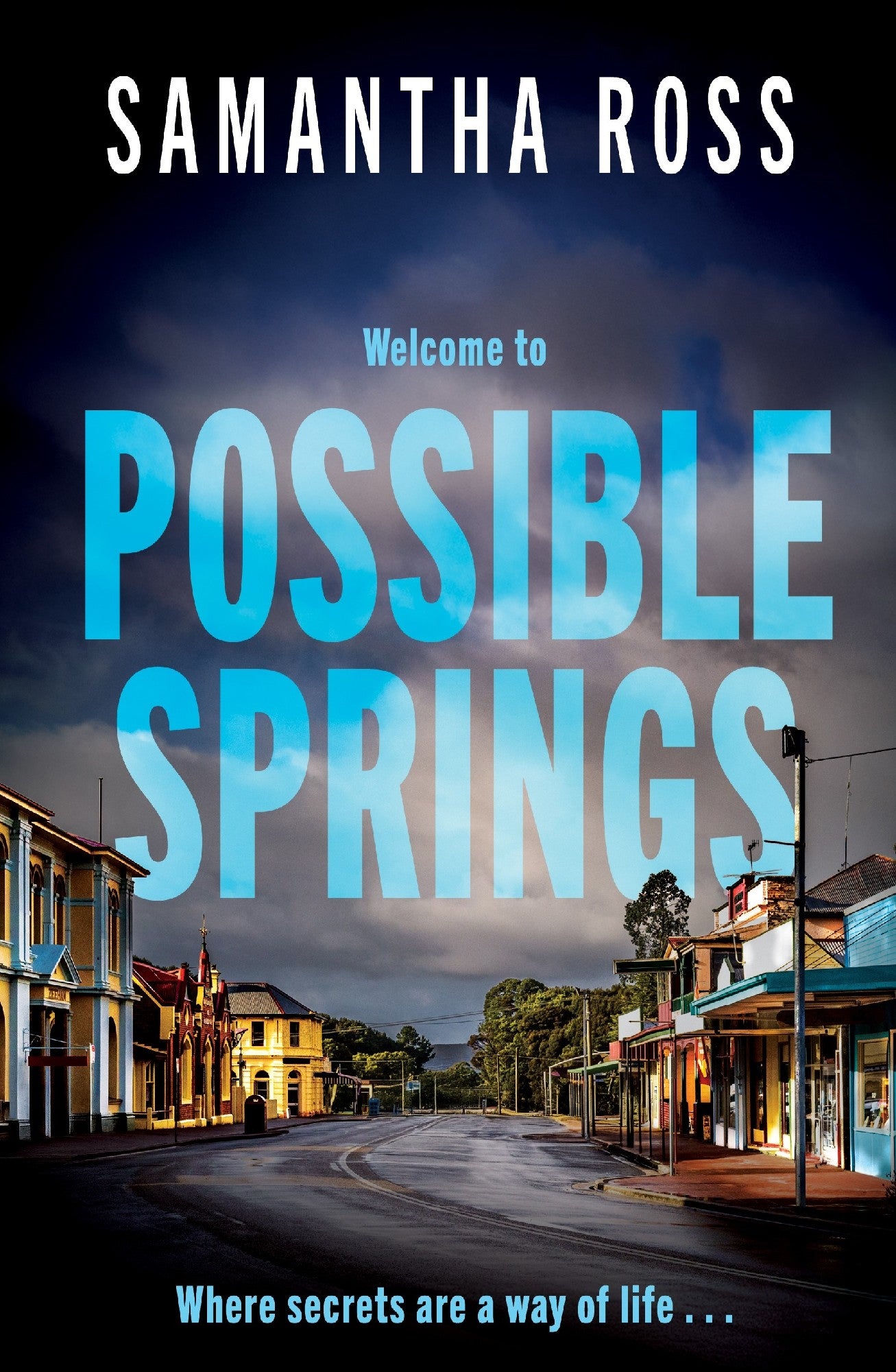 Possible Springs - Samantha Ross