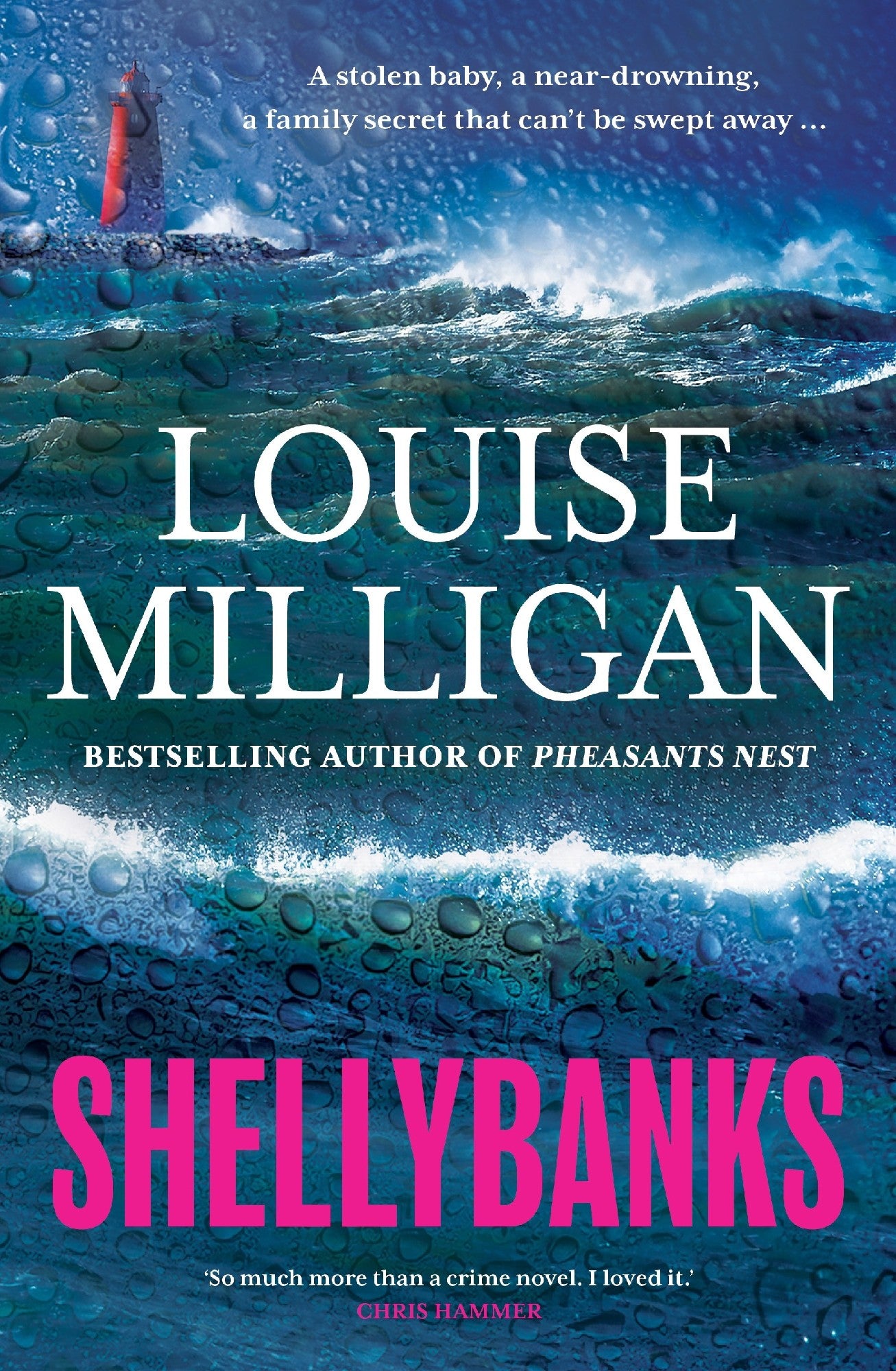 Shellybanks - Louise Milligan