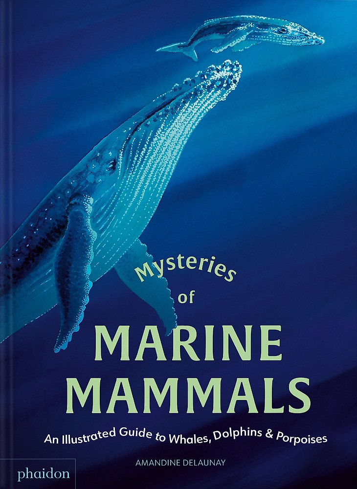 Mysteries Of Marine Mammals - Amandine Delaunay