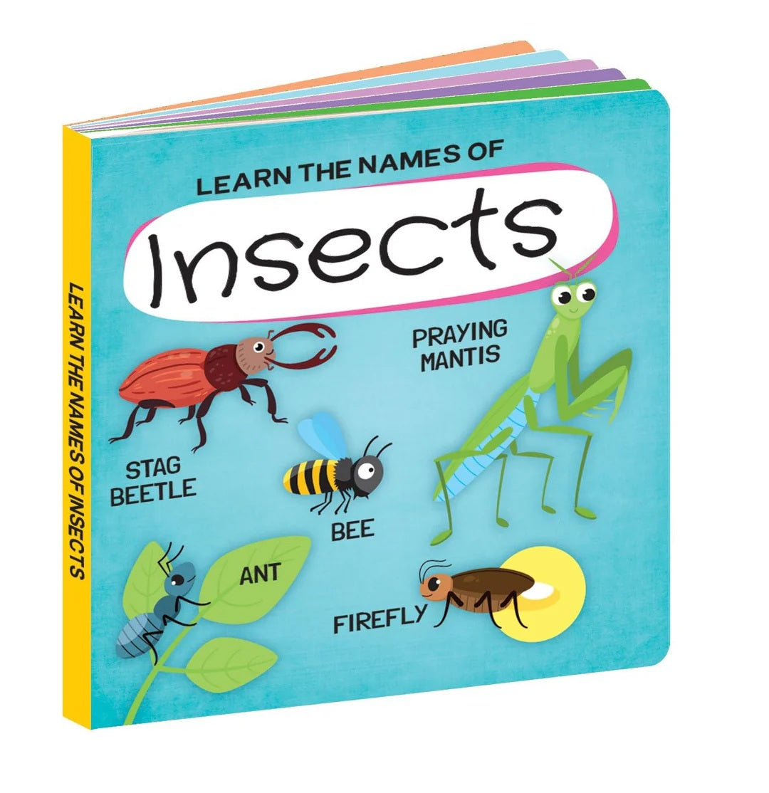 Sassi 3d Puzzle & Book Set - World Of Insects 40pcs