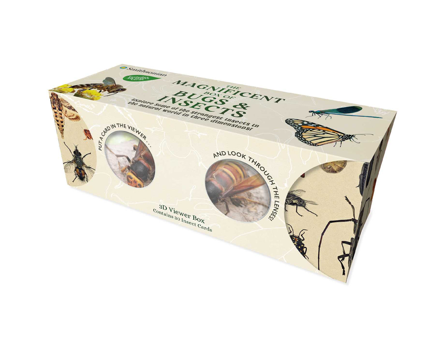 The Magnificent Box Of Bugs And Insects