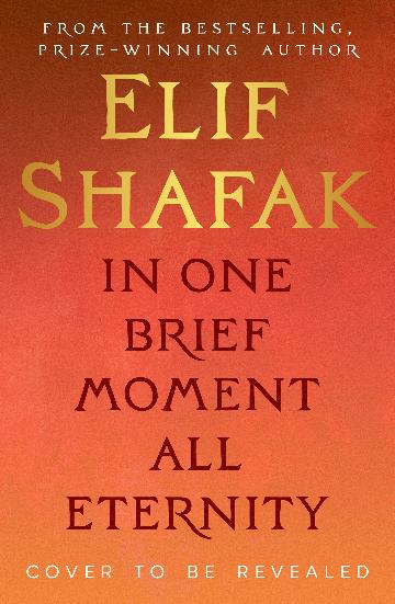 In One Brief Moment All Eternity - Elif Shafak