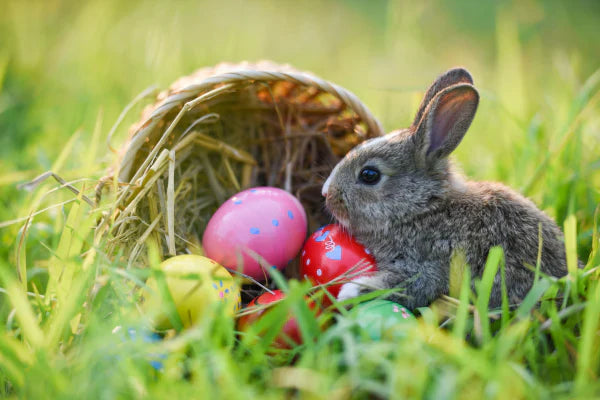 Easter Gifting