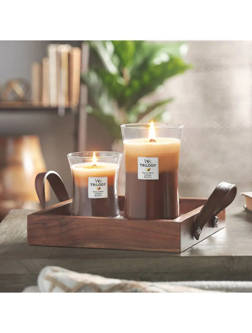 Candles
