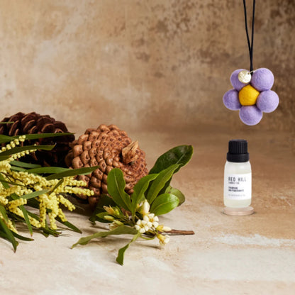 Champagne & Pomegranate Felt Air Freshner