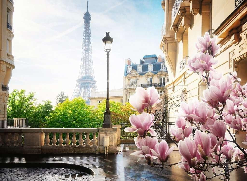 Puzzle 500pc Springtime In Paris