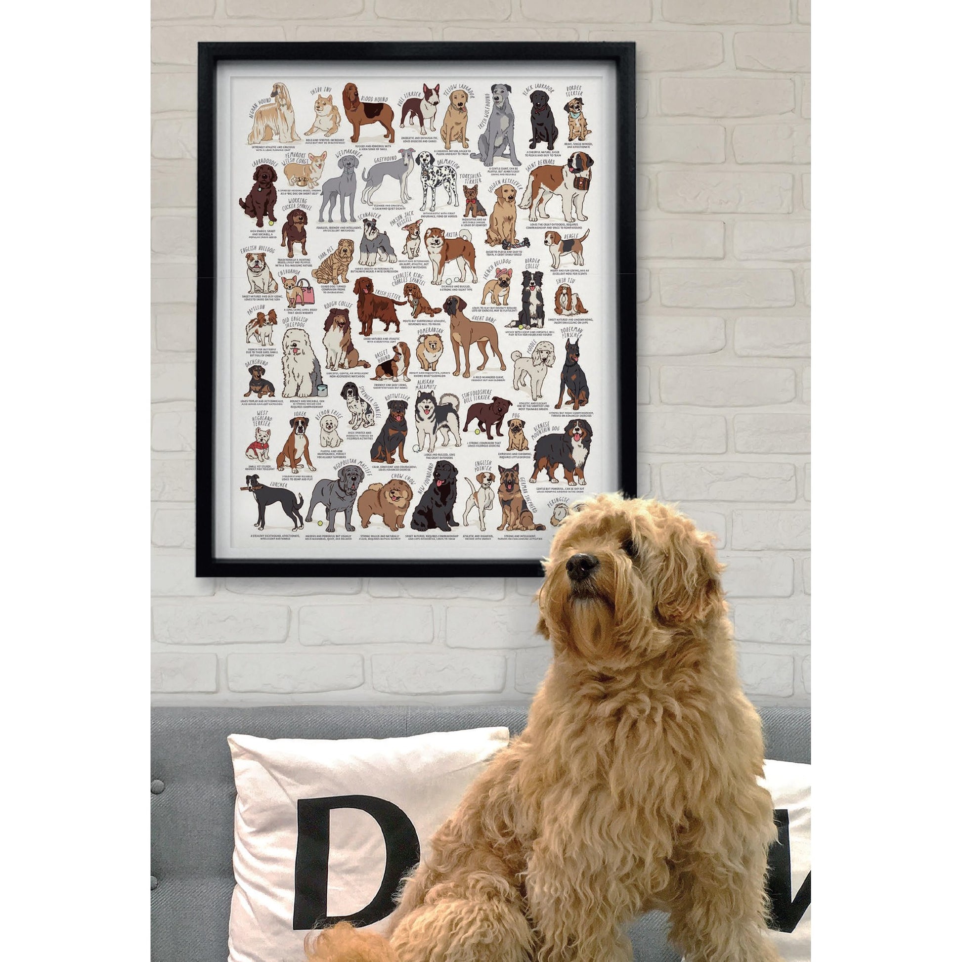 Puzzle 1000pc Dog Lovers - Ridley's