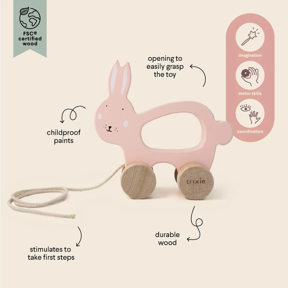 Trixie Wooden Pull Along Toy Mrs. Cat