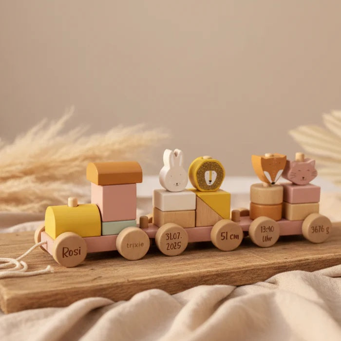 Wooden Animal Train Mrs Cat Pull Along