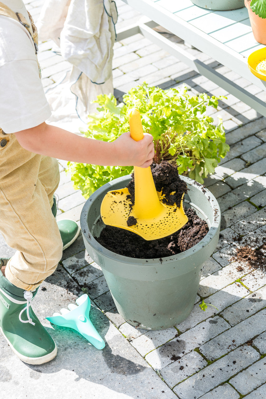 Triplet - Yellow Stone