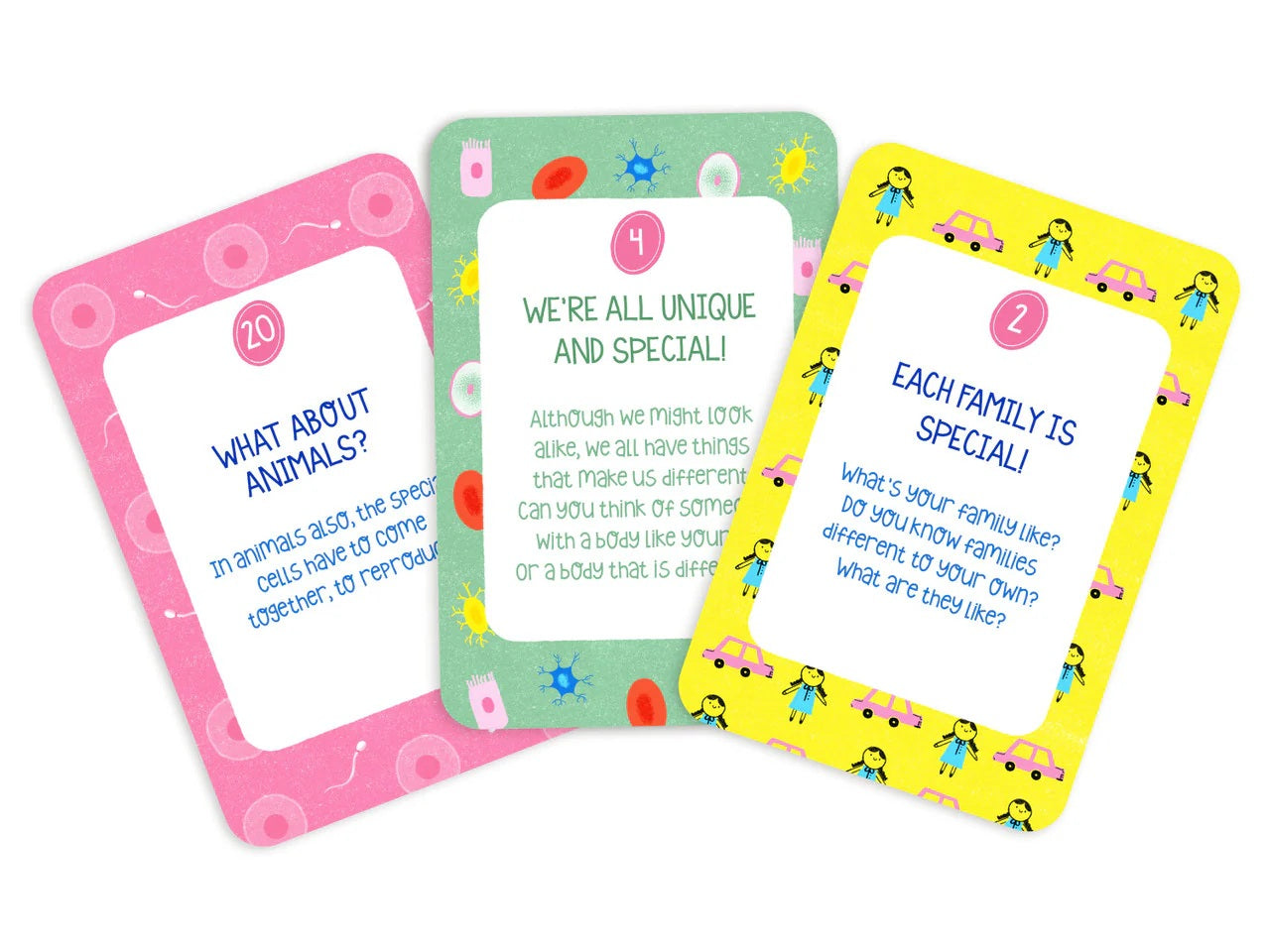 Flashcards - My Body Rules