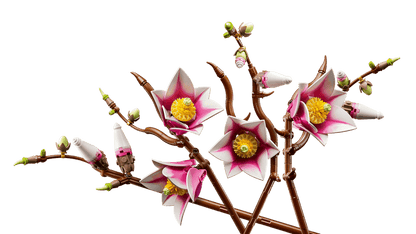 Lego Botanicals - Magnolia Branches 11510 18+