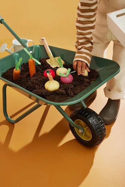 Kids Concept Mixed Vegetable Box