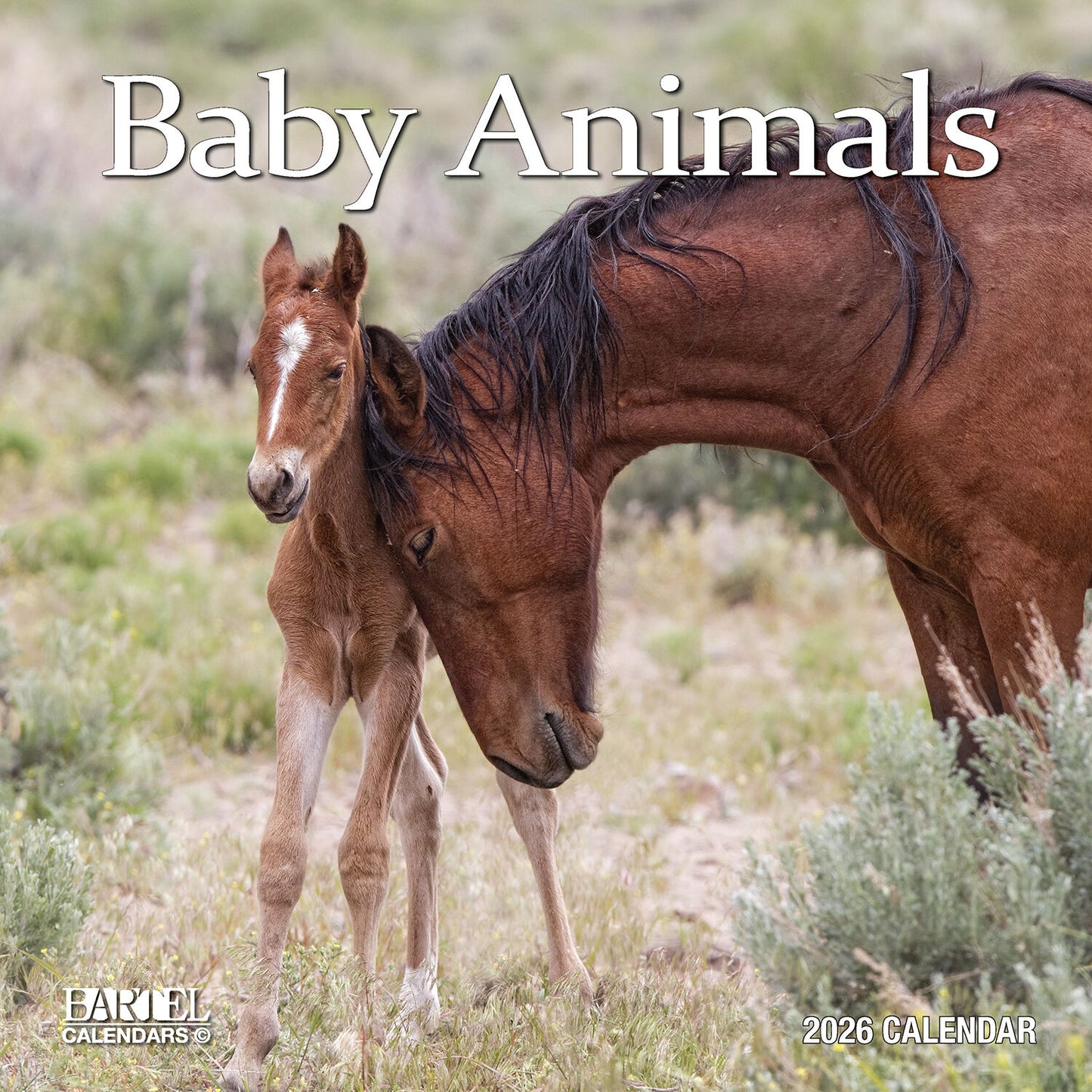 Calendar 2026  Baby Animals 300x300mm