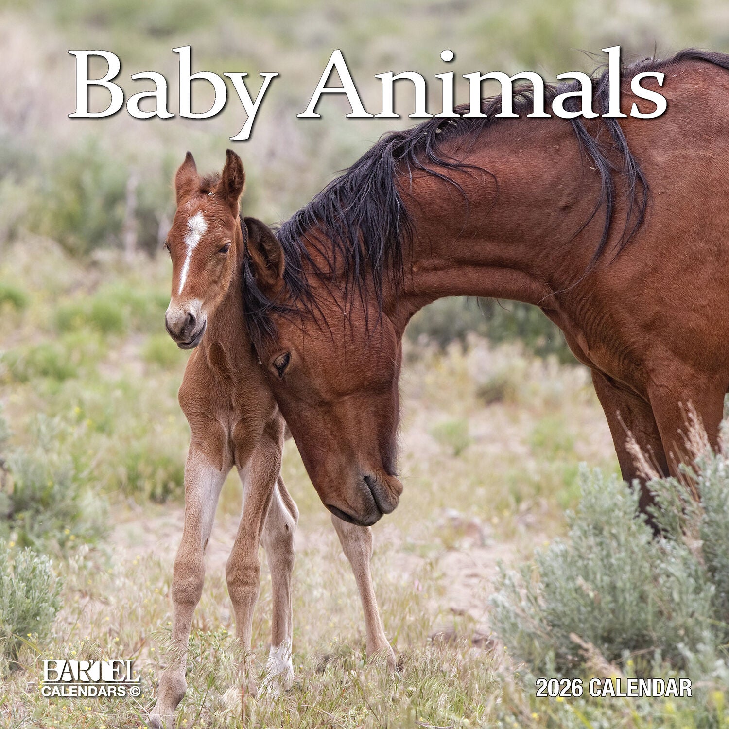 Calendar 2026  Baby Animals 300x300mm