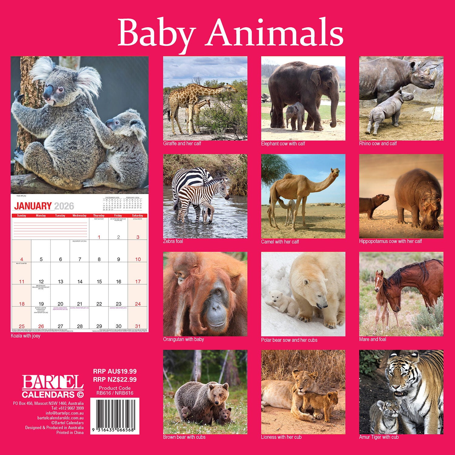 Calendar 2026  Baby Animals 300x300mm