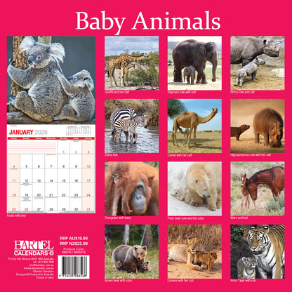 Calendar 2026  Baby Animals 300x300mm