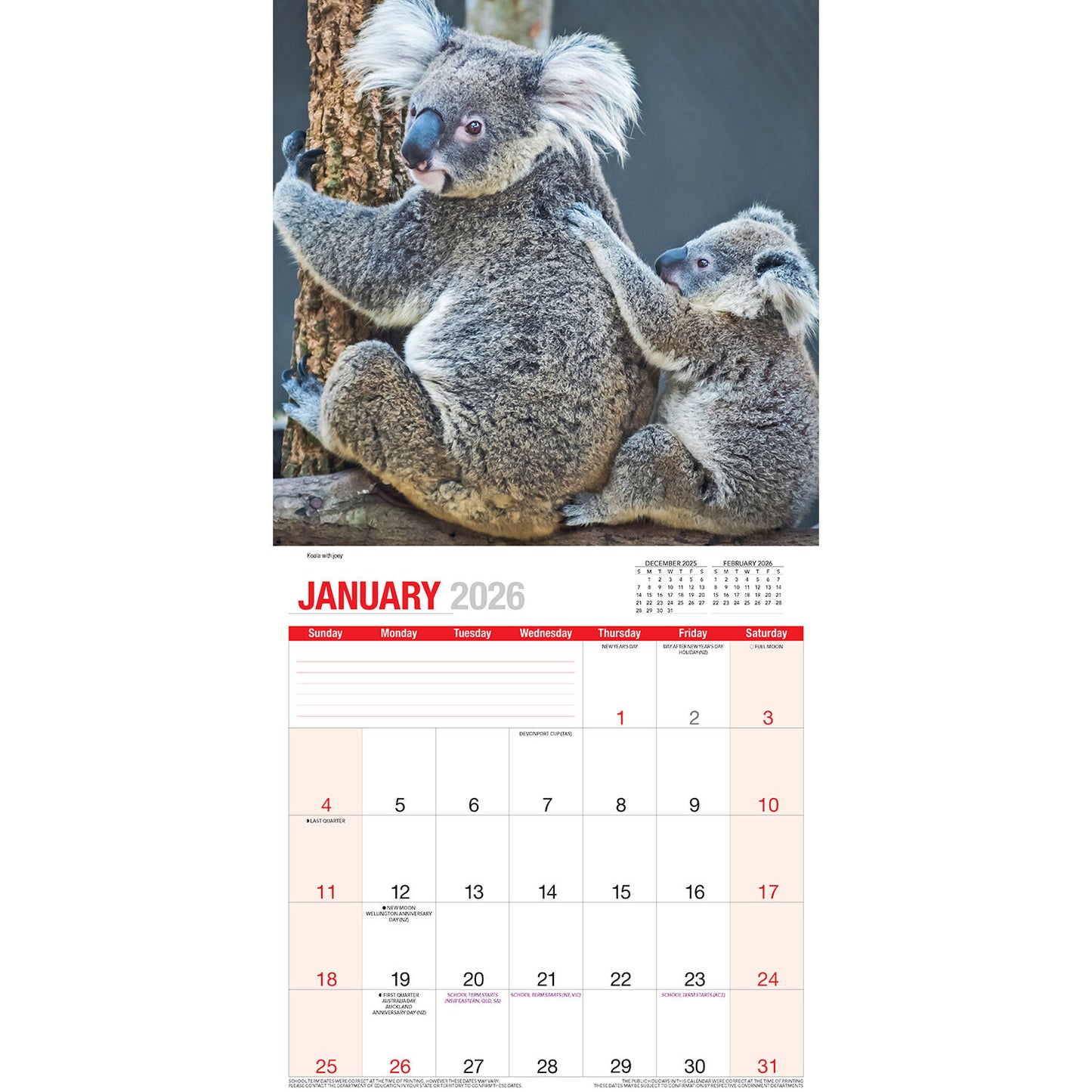 Calendar 2026  Baby Animals 300x300mm