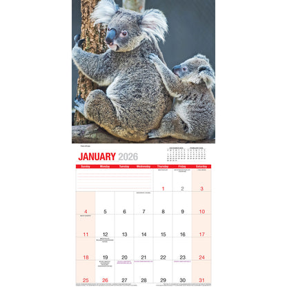Calendar 2026  Baby Animals 300x300mm