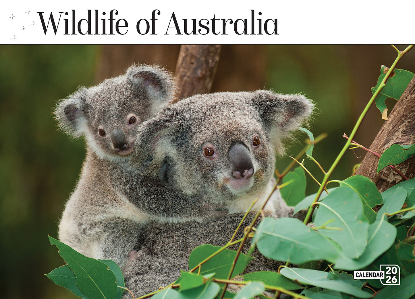 Calendar 2026  Wildlife Of Australia 335x242mm