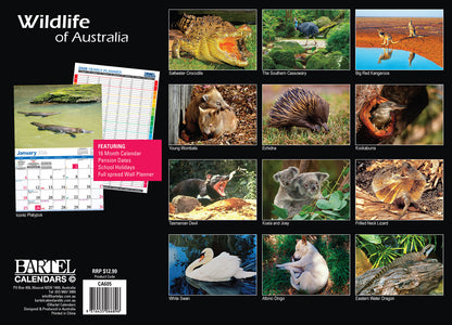 Calendar 2026  Wildlife Of Australia 335x242mm