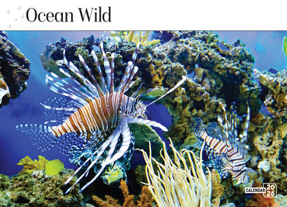 Calendar 2026  Ocean Life 335x242mm