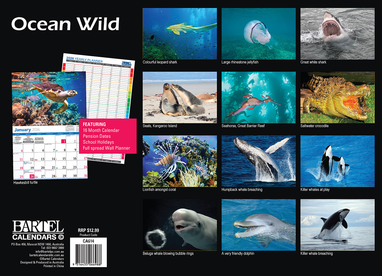 Calendar 2026  Ocean Life 335x242mm