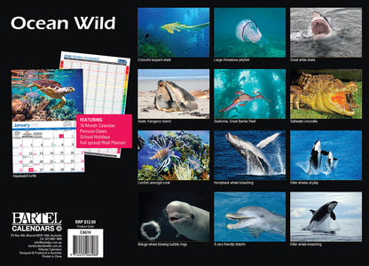 Calendar 2026  Ocean Life 335x242mm