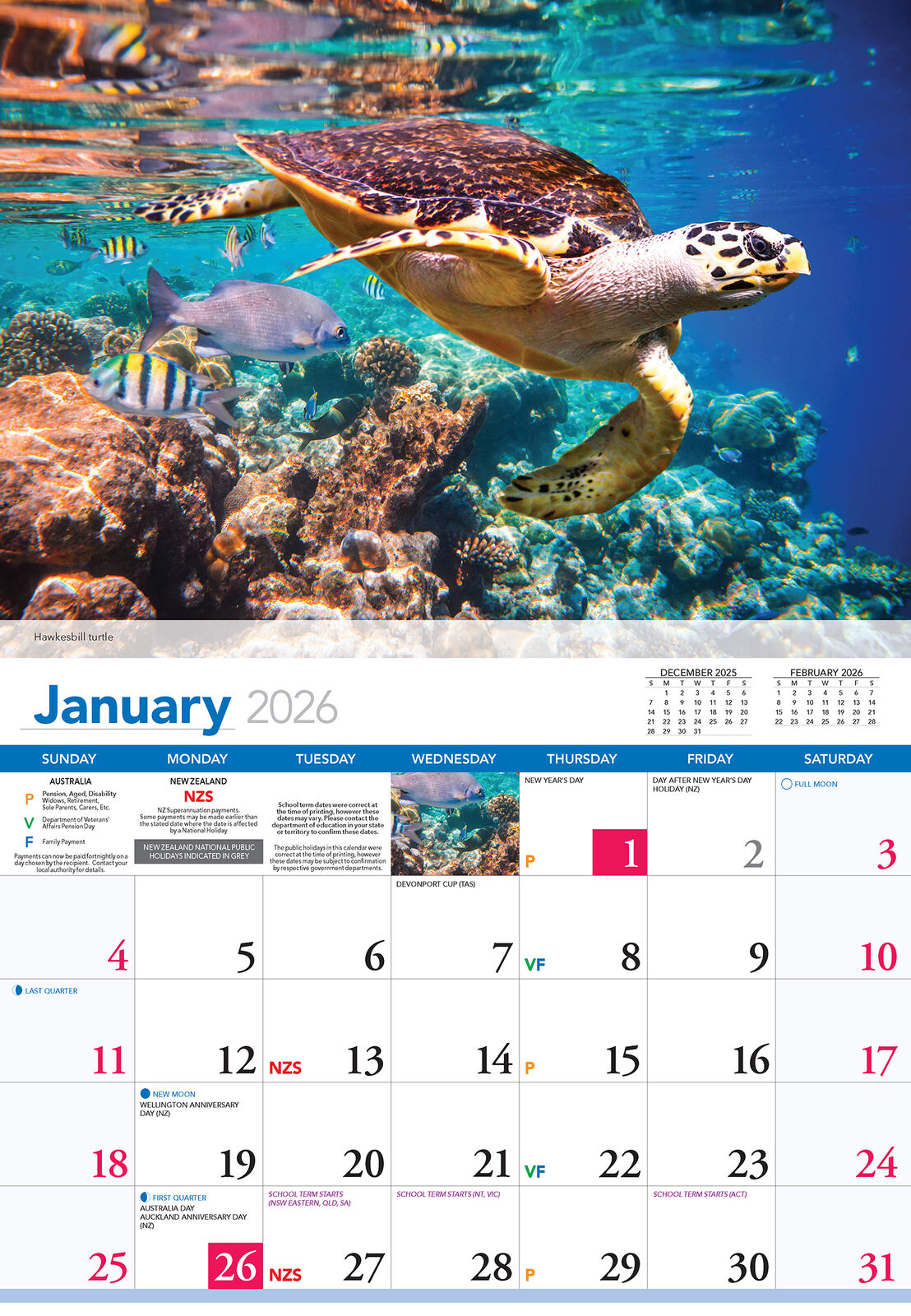 Calendar 2026  Ocean Life 335x242mm