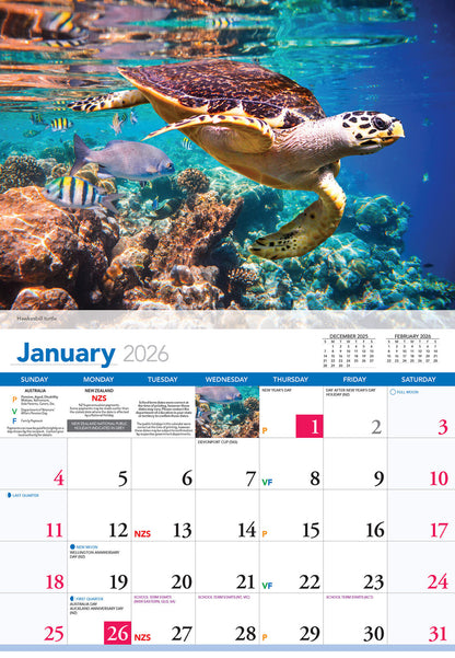 Calendar 2026  Ocean Life 335x242mm