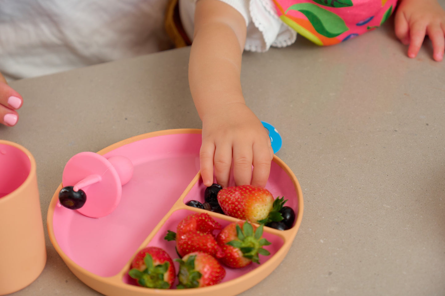 Silione Two Tone Dinner Set - Pink 3pce