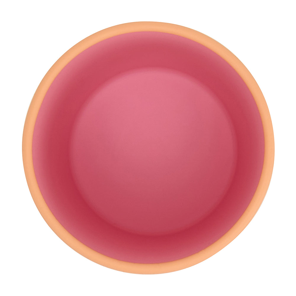 Silione Two Tone Dinner Set - Pink 3pce