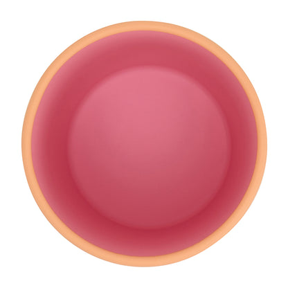 Silione Two Tone Dinner Set - Pink 3pce