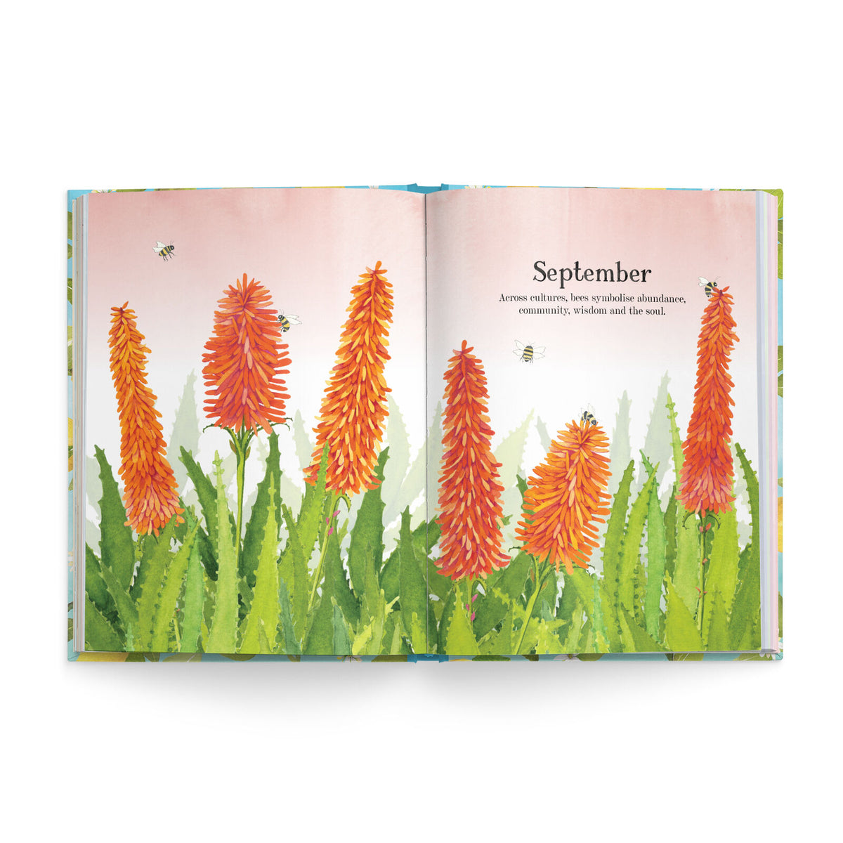 Affirmations 2027 Nature Diary