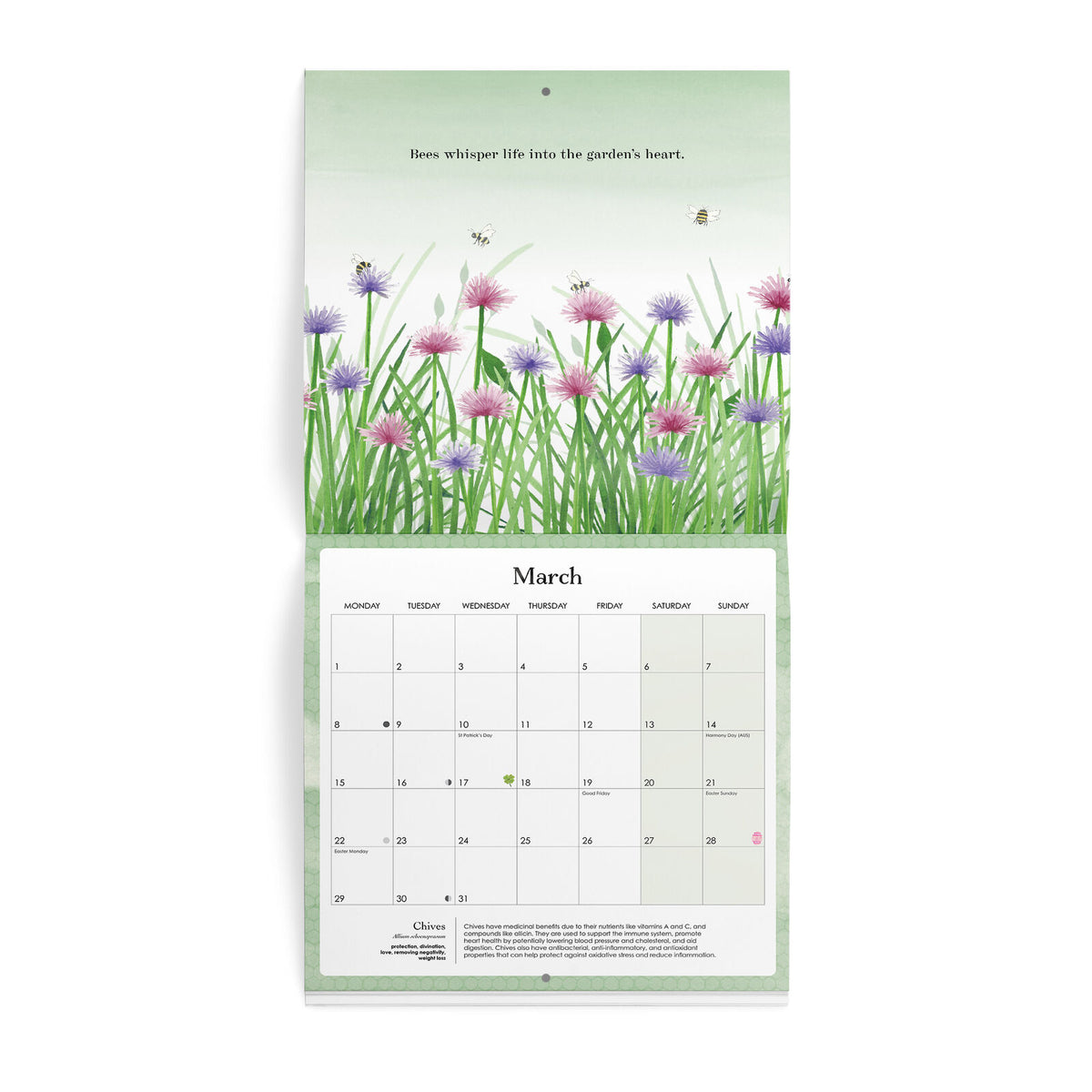 Affirmations 2027 Nature Wall Calendar
