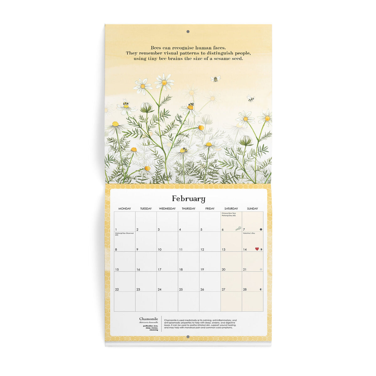 Affirmations 2027 Nature Wall Calendar