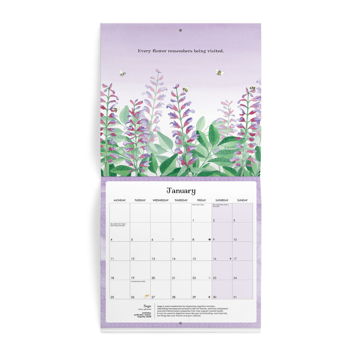 Affirmations 2027 Nature Wall Calendar
