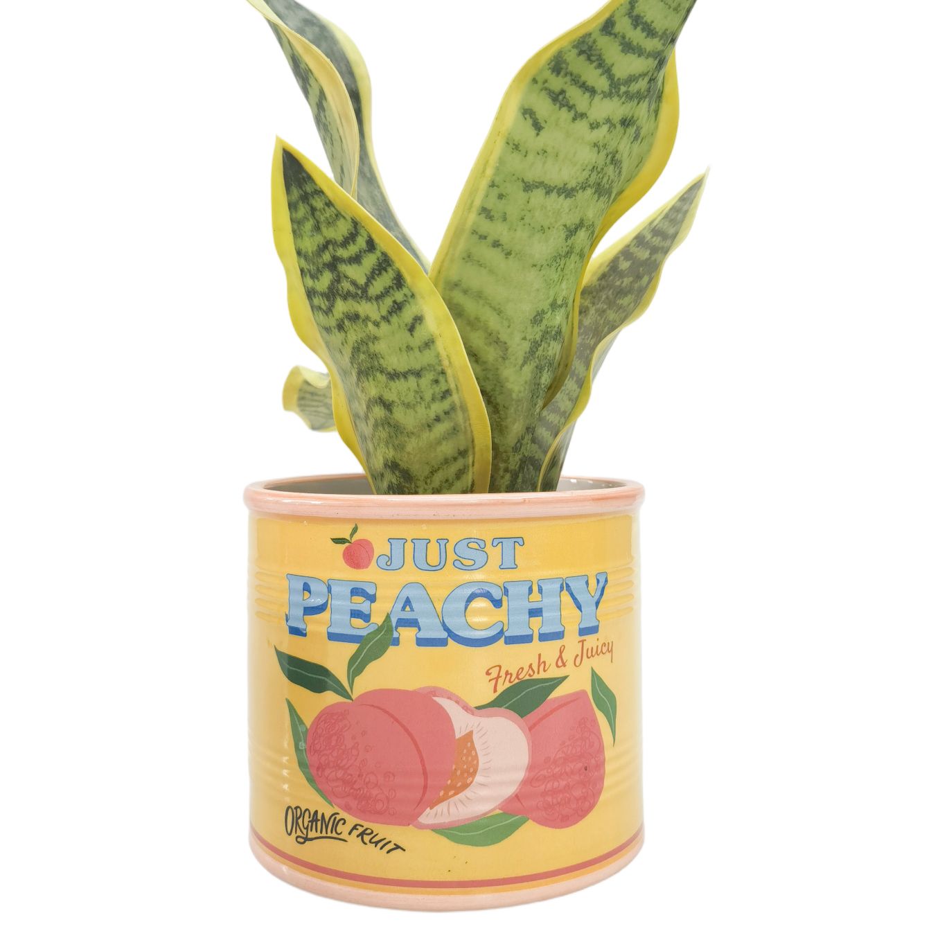 Just Peachy Can Planter Yellow 12cm