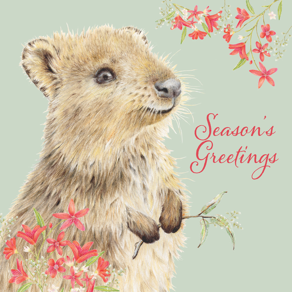 Quokka Greetings 10 Boxed Charity Christmas Cards - Jeans For Genes