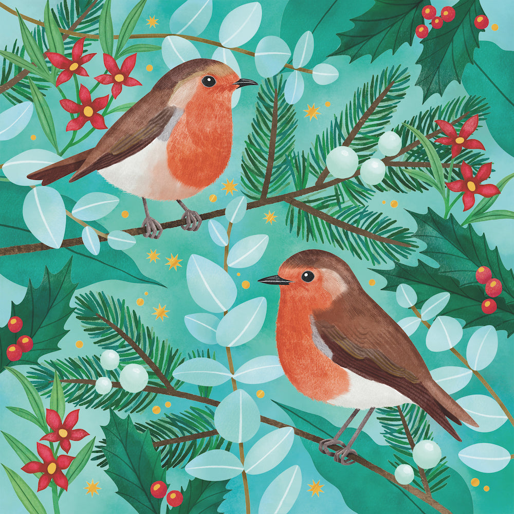 Robins 10 Boxed Charity Christmas Cards - Jeams For Genes