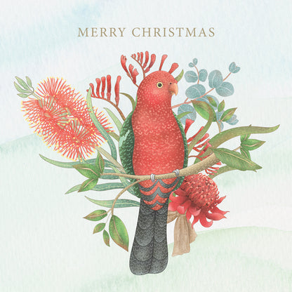 Floral King Parrot 10 Boxed Charity Christmas Cards - Jeans For Genes