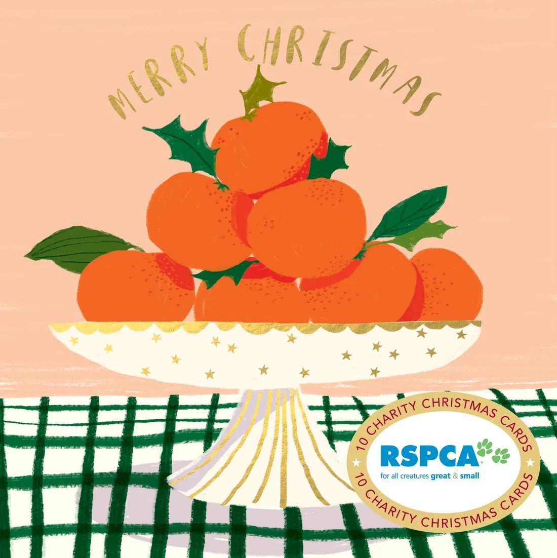Rspca - Bowl Of Delights - 10 Charity Christmas Cards Pack