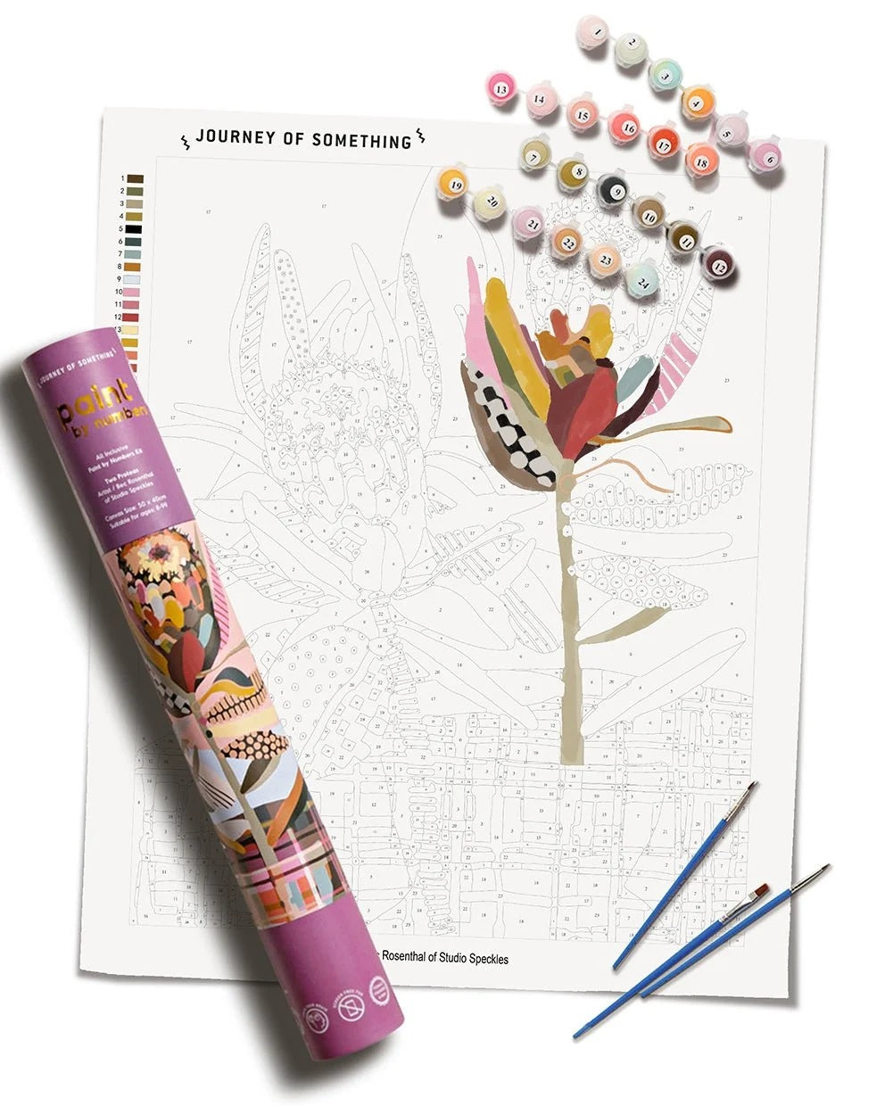 Two Proteas Paint By Numbers