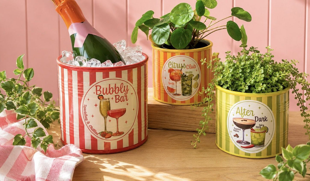 Spritz Bubbly Bar Planter 16cm